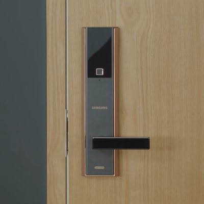 Cerradura de Huella Digital Biométrica SHP DH538