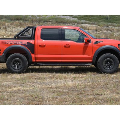 Fits 2015-2025 Ford F150, 2017-2025 F250/F350 (AMD-8710470)