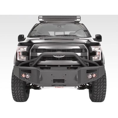 Fits 2015-2017 Ford F150 (FBF-FF15-H3252-B)
