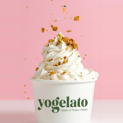 Frozen Yogurt