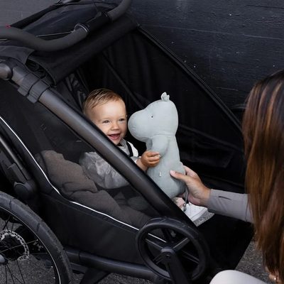 Thule Chariot Sport 2 Double Negro
