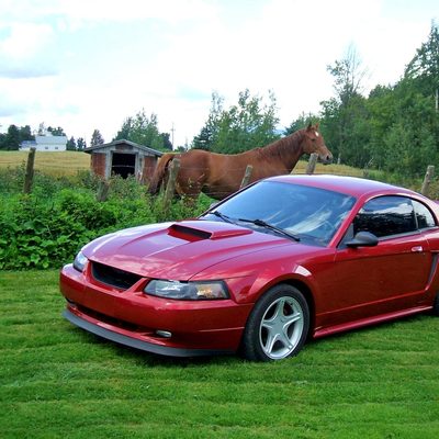 1999-2004 Ford Mustang ABS Bumper Lip Body Kit Splitter Spoiler
