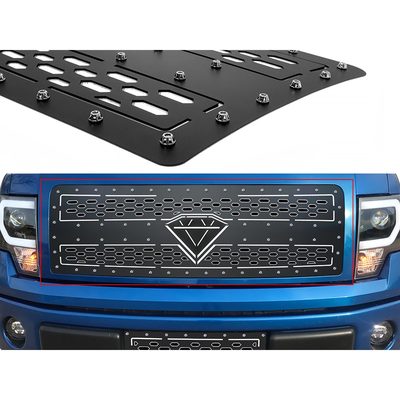 Fits 2009-2014 Ford F150 (APS-GR06DFF32D)