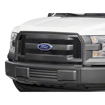 Fits 2015-2017 Ford F150 (APS-GR06FFC11J)