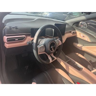 Byd Dolphin Mini 5 SEATS 380KM 2026