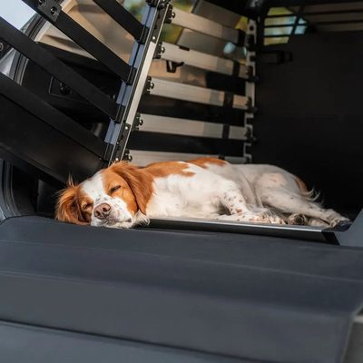 Tapete protector de Jaula para Mascotas L y XL