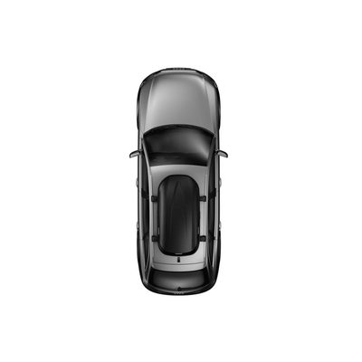 Thule Pulse M