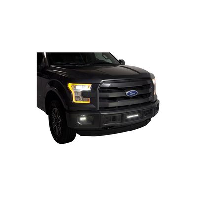 Fits 2015-2017 Ford F150 (PUT-87160L)