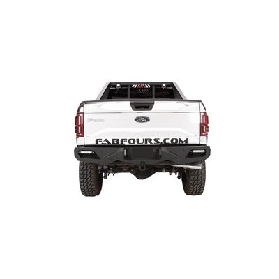 Fits 2015-2020 Ford F150 (FBF-FF15-E3251-1)