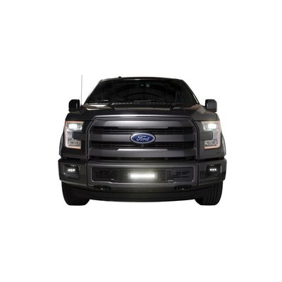 Fits 2015-2017 Ford F150 (PUT-87160L)