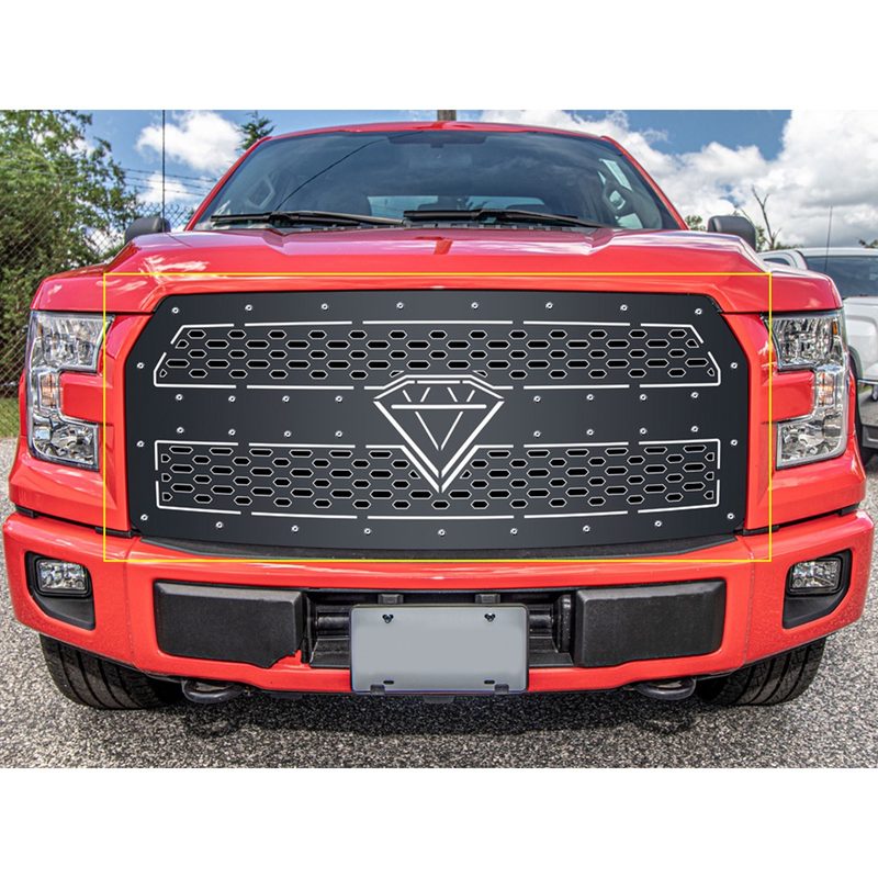 Fits 2015-2017 Ford F150 (APS-GR06DFC10D)
