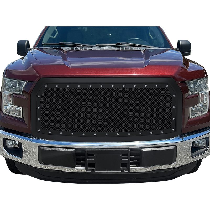 Fits 2015-2017 Ford F150 (APS-GR06PFC10H)