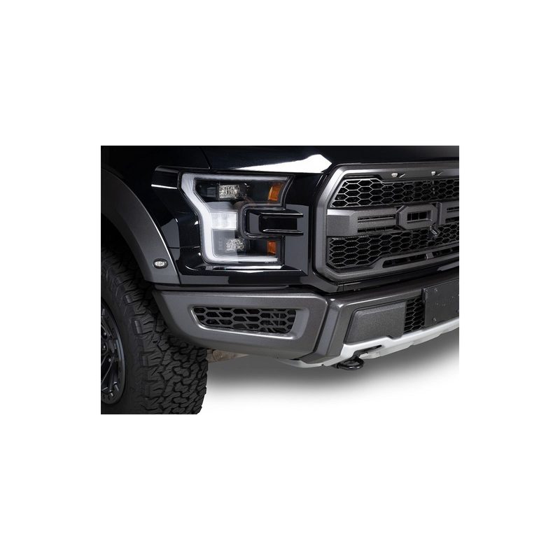 Fits 2018-2020 Ford F150 Raptor (PUT-83168)