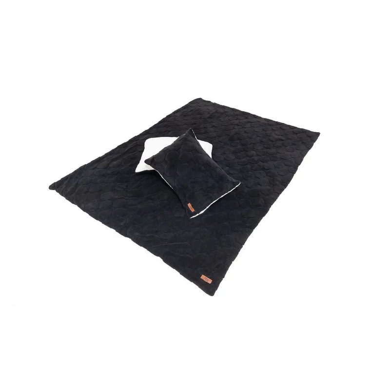 Cloud Comforter & Pillow Case Set