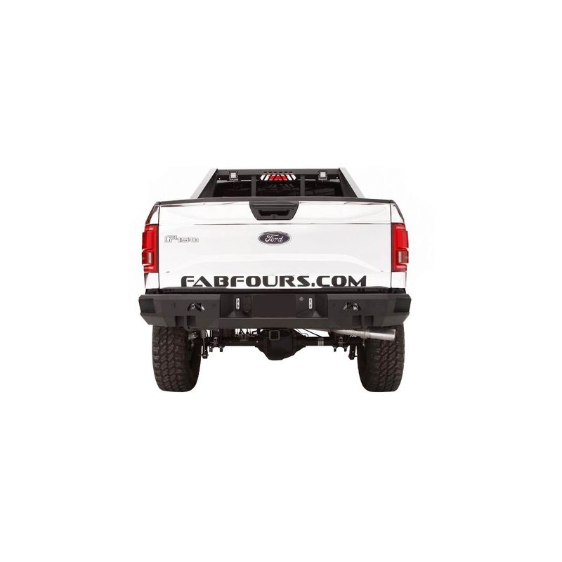Fits 2015-2020 Ford F150 (FBF-FF15-W3251-1)