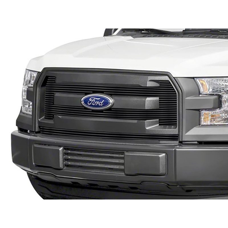 Fits 2015-2017 Ford F150 (APS-GR06FFC11J)