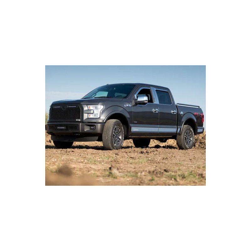 Fits 2009-2014 Ford F150, 6'7" Bed (PUT-9751425FD)